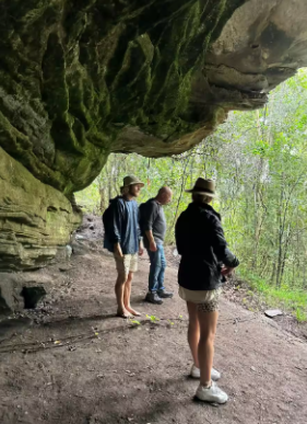 Join a guided walk through Wilderness Forest