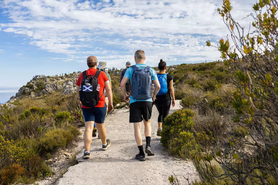 Hike Table Mountain and descend by cable car