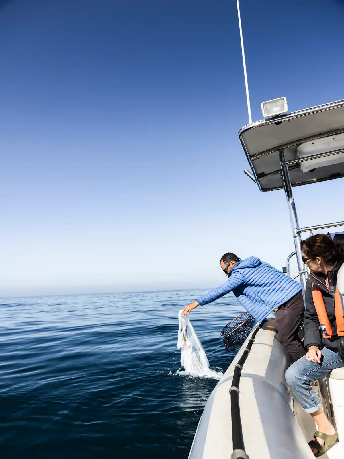 Ocean Wildlife Encounter from a boat