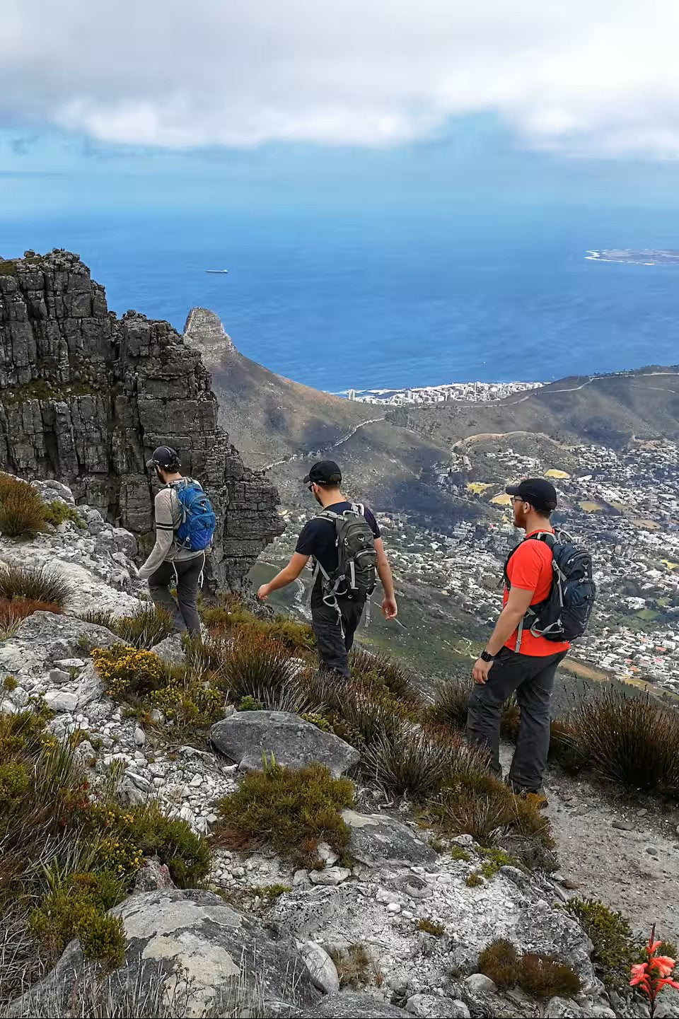 Hike Table Mountain and descend by cable car