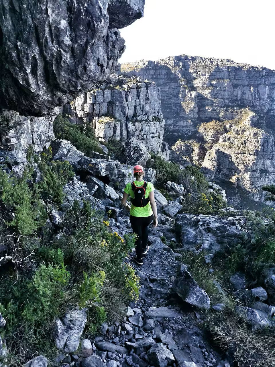 Hike Table Mountain and descend by cable car