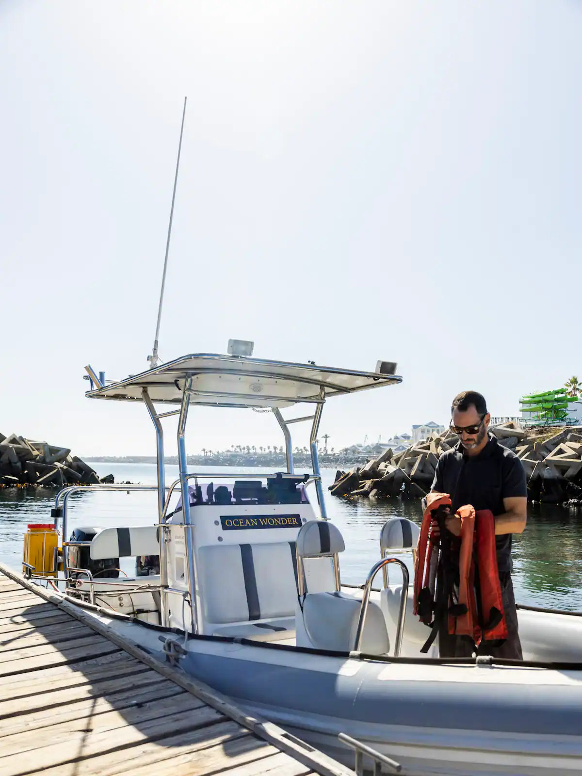Ocean Wildlife Encounter from a boat