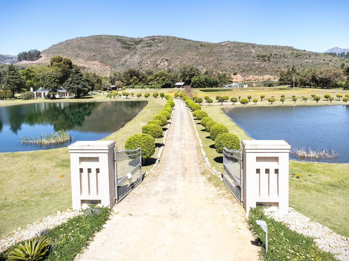 Pure Nature - Near Franschhoek