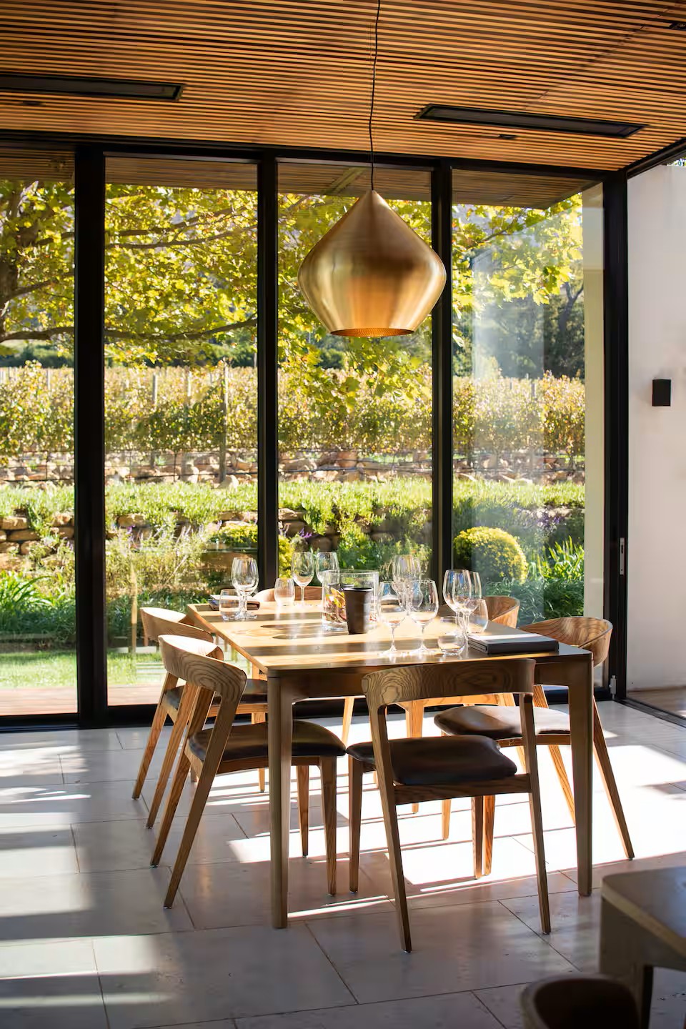 Experience the Stellenbosch Winelands