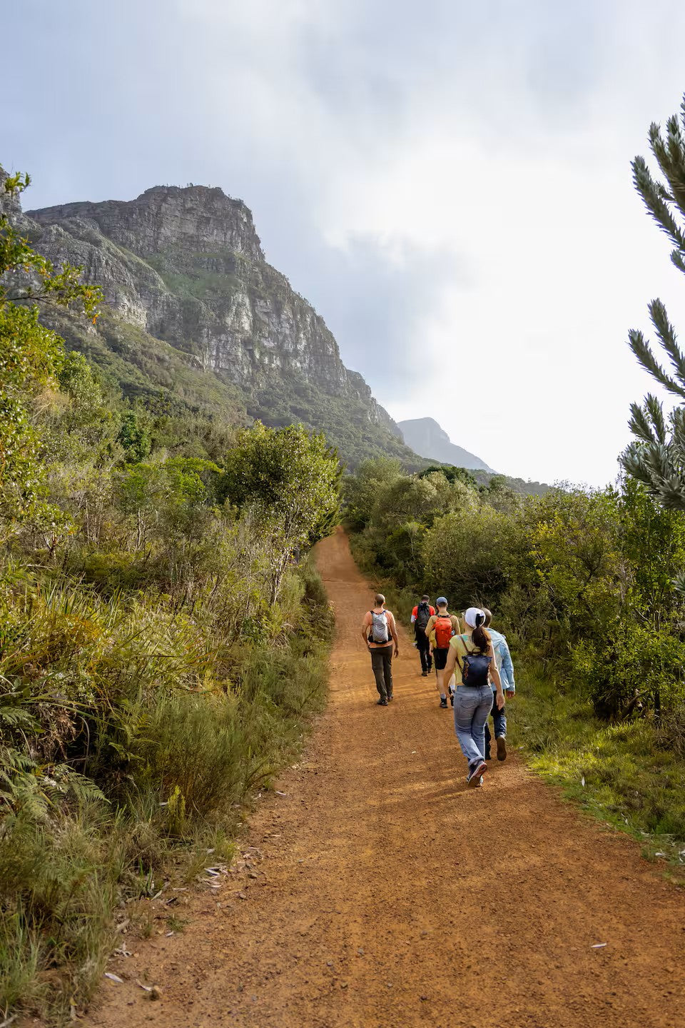 Hike Table Mountain