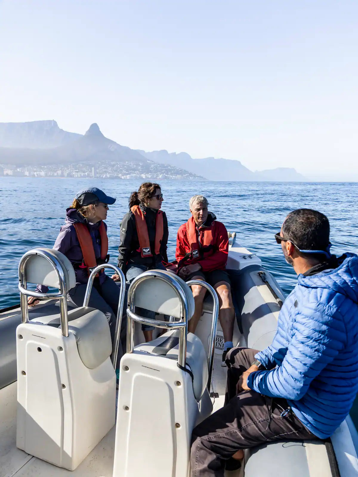 Ocean Wildlife Encounter from a boat