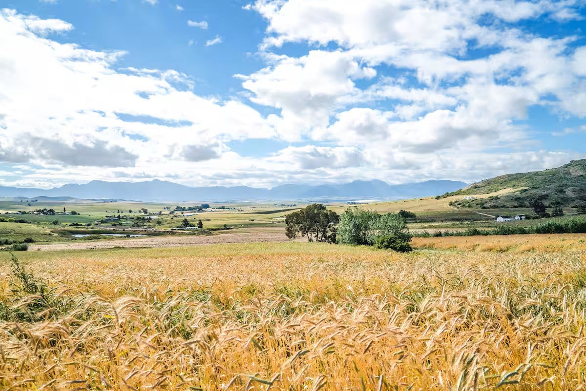 1 Bed Cottage on peaceful farm in Robertson