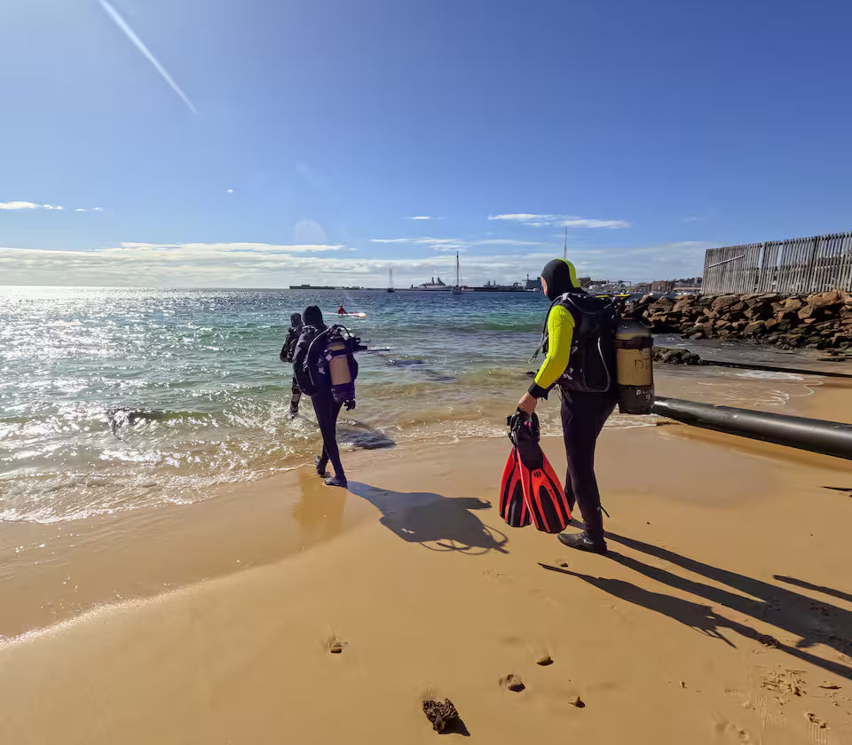 Scuba Diving in Simon’s Town-No Experience Needed