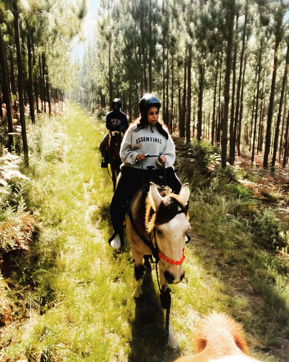 Scenic morning horse ride in the mountain