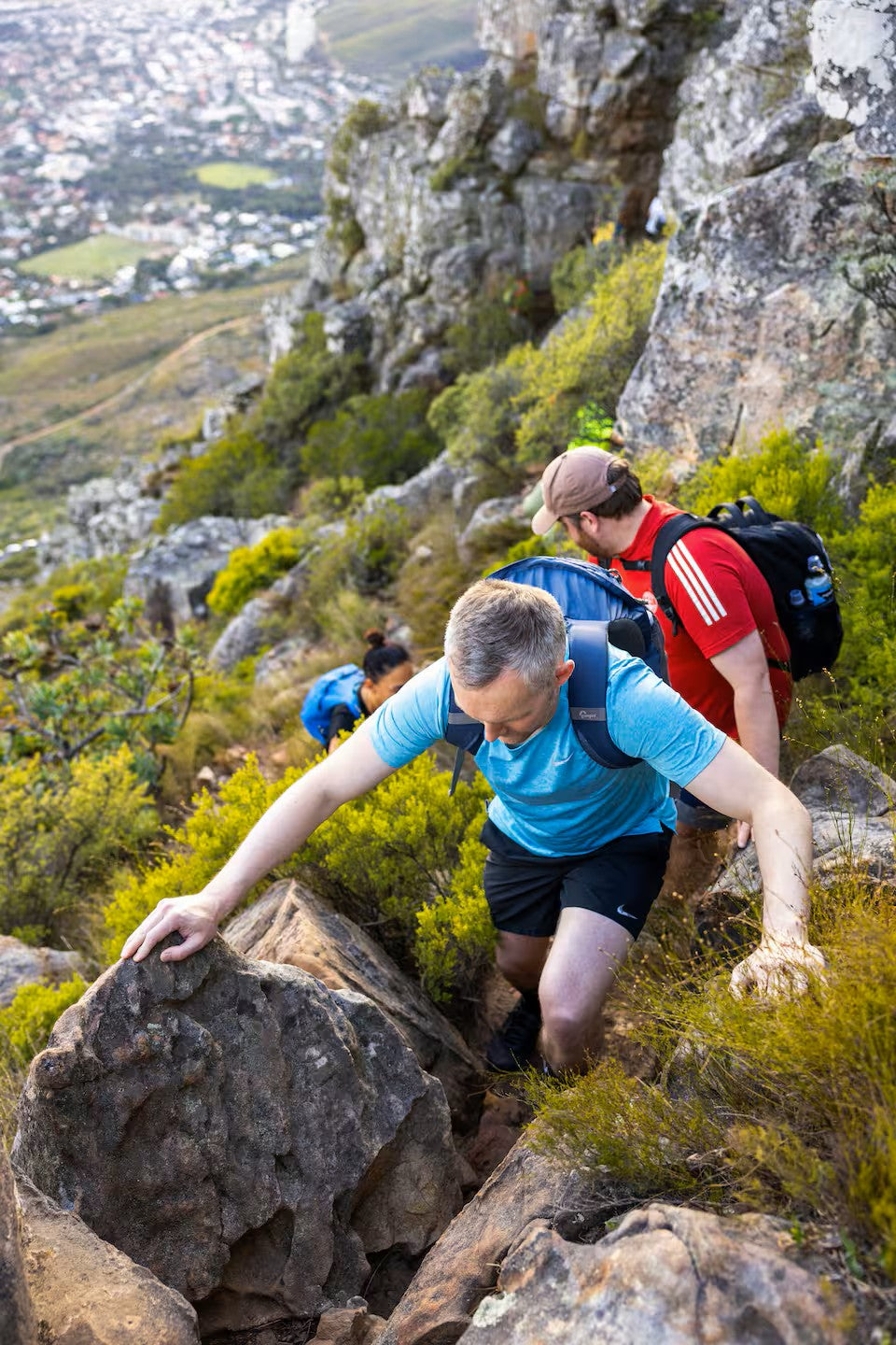 Hike Table Mountain and descend by cable car