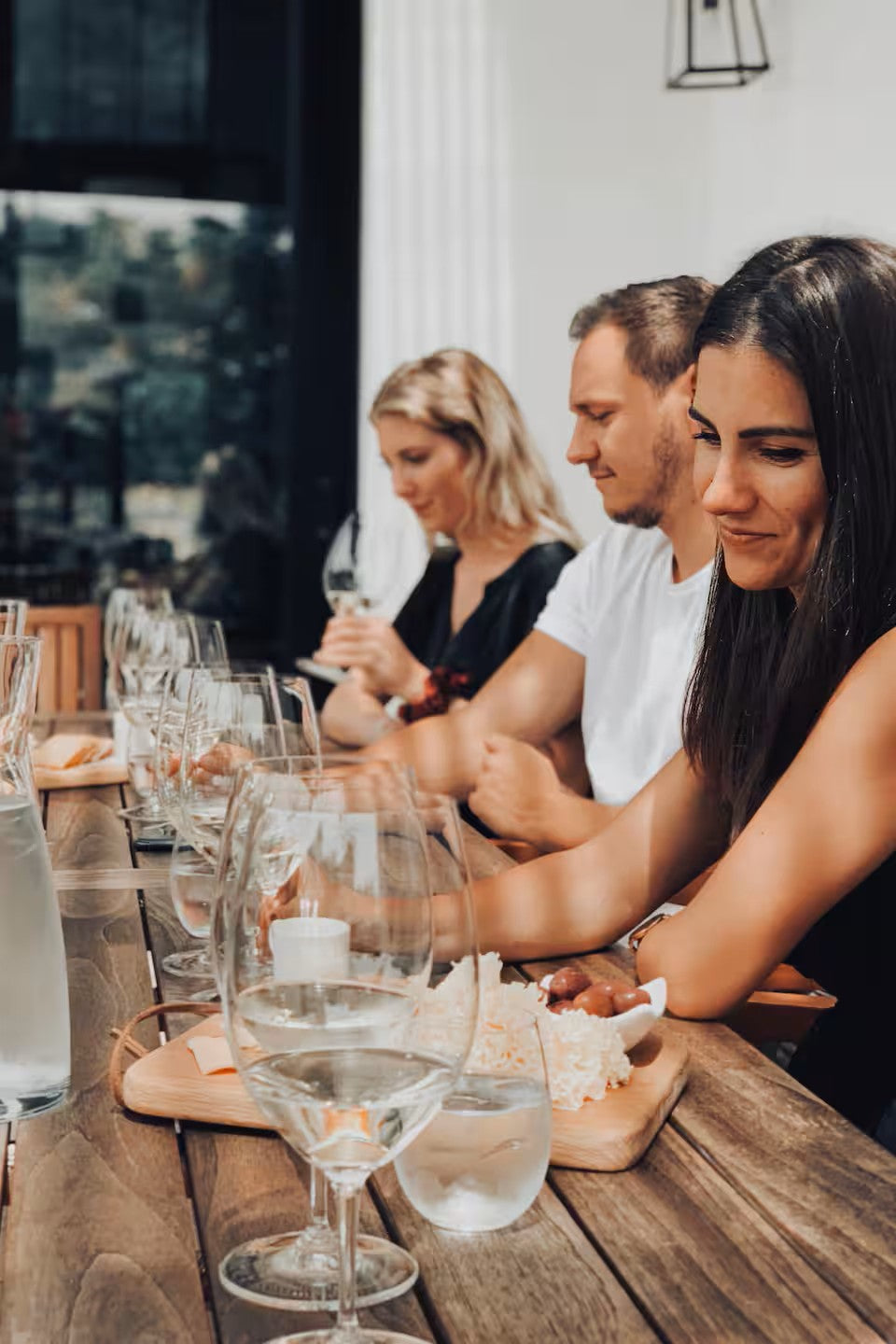 Experience the Stellenbosch Winelands