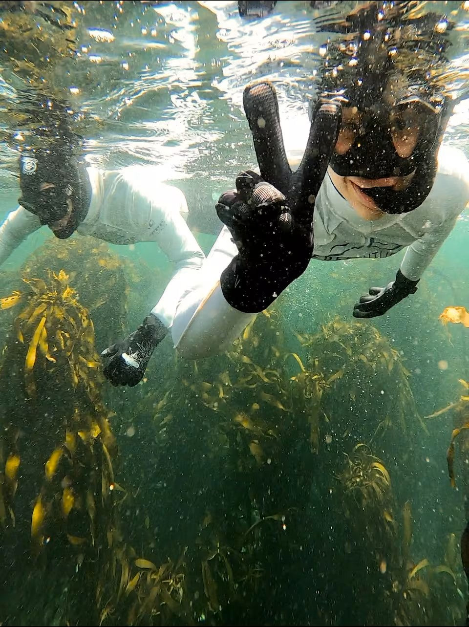 Guided Snorkel through Africas magical Kelp Forest