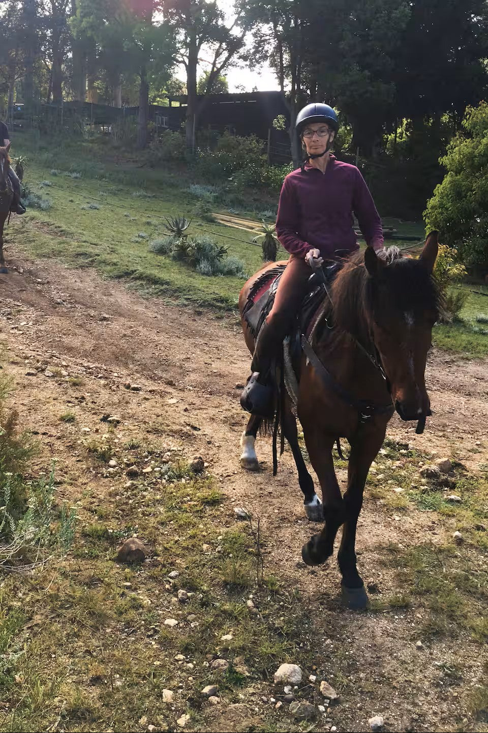 Scenic morning horse ride in the mountain