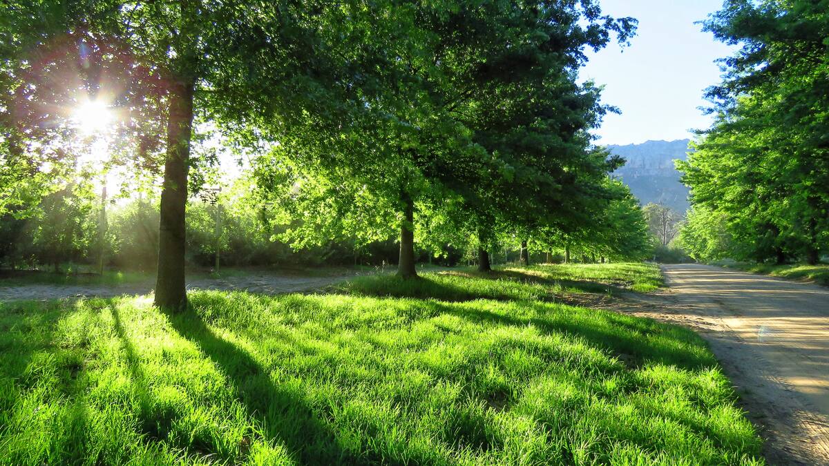 Klipspringer Mountain Cottage