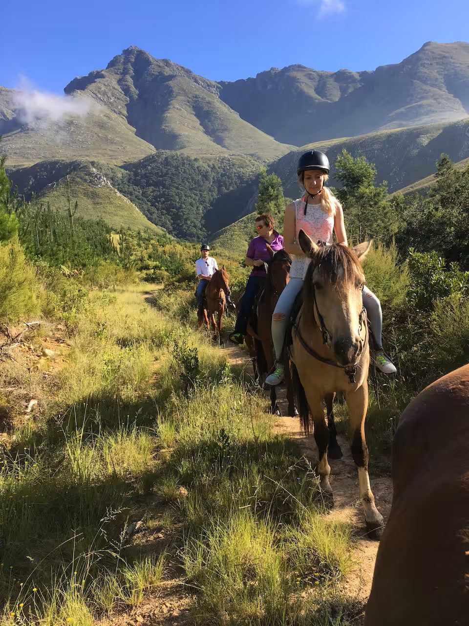 Scenic morning horse ride in the mountain