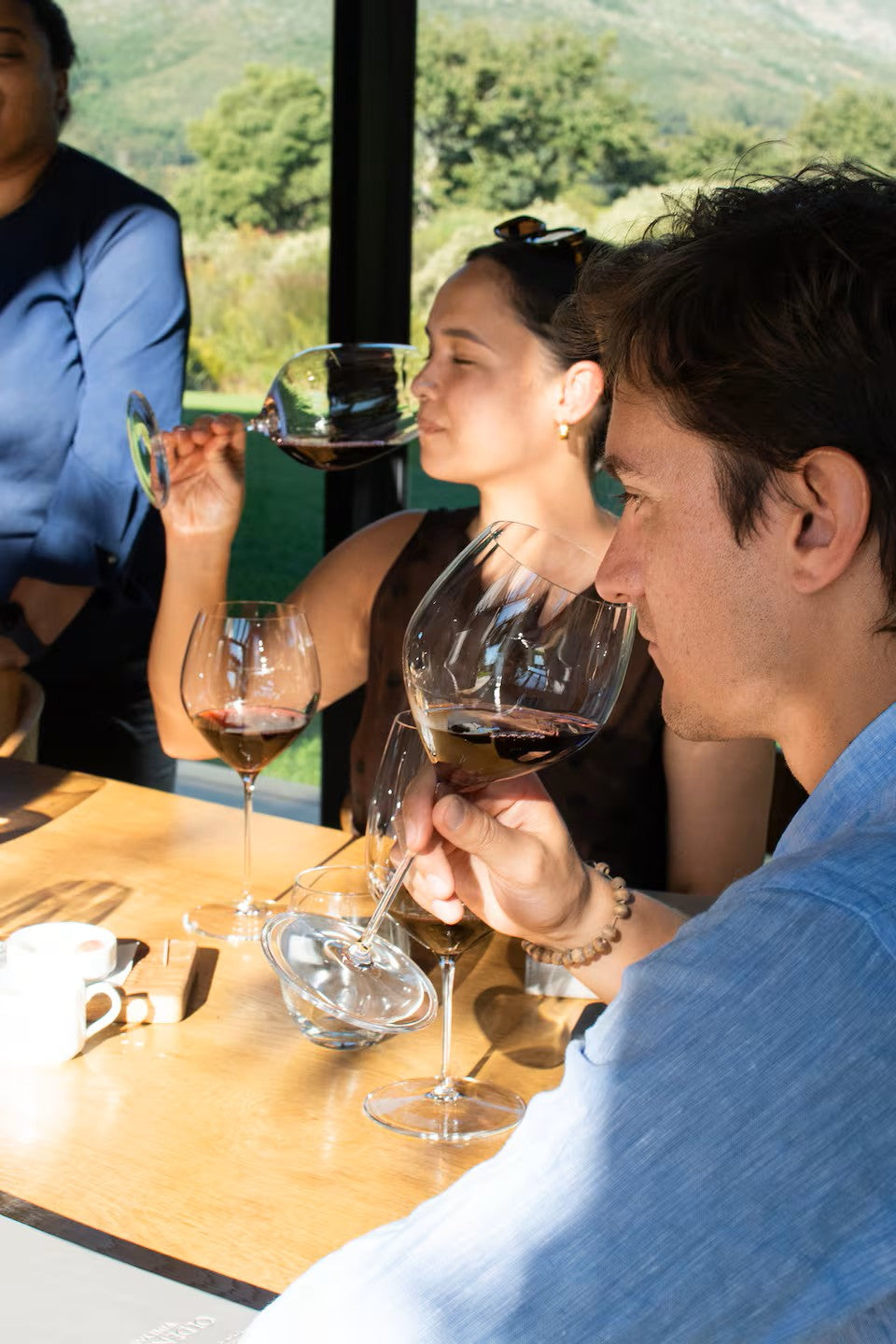 Experience the Stellenbosch Winelands