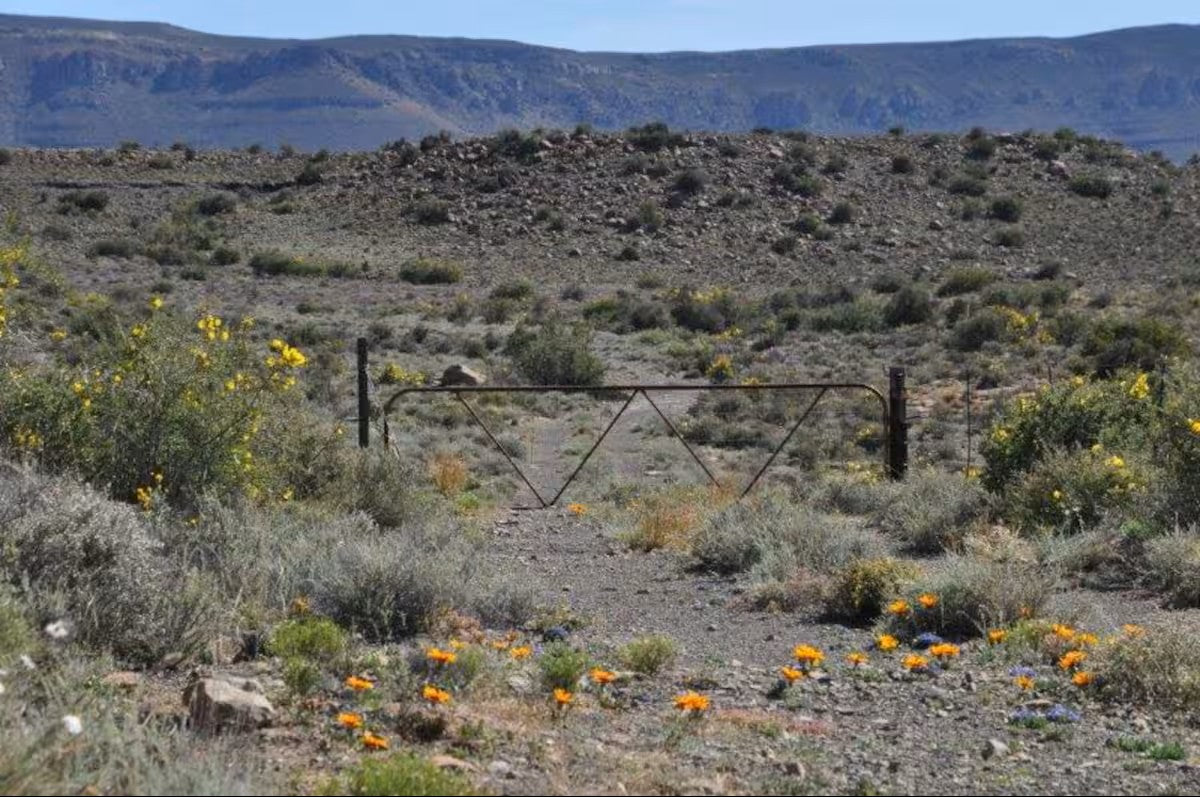 Tamboershoek Karoo Farm Stay near Beaufort West