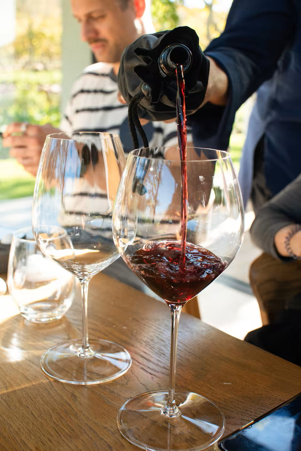 Experience the Stellenbosch Winelands