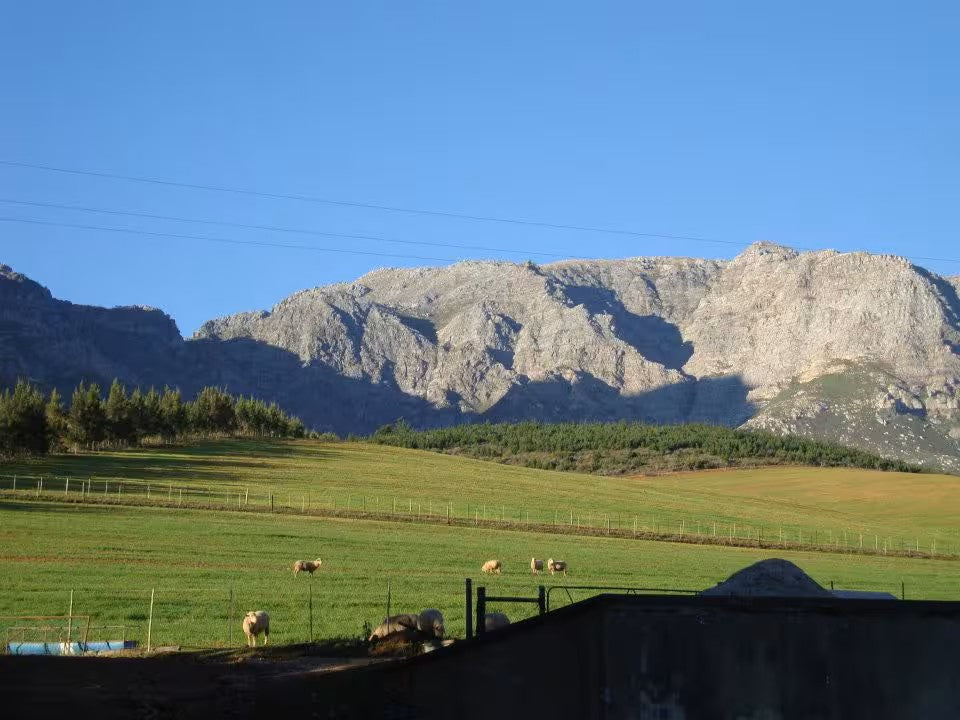 Mosterts Hoek Self Catering Guest House