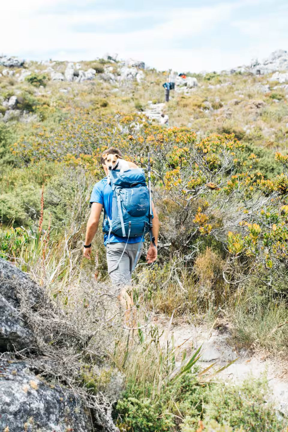 Hike Table Mountain