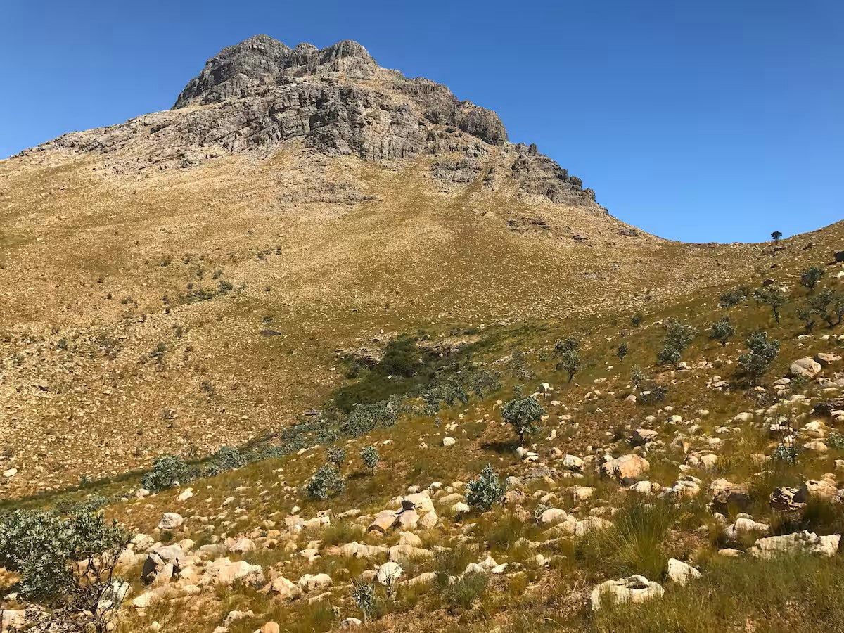 Klipkop High Mountain Stone Cottage