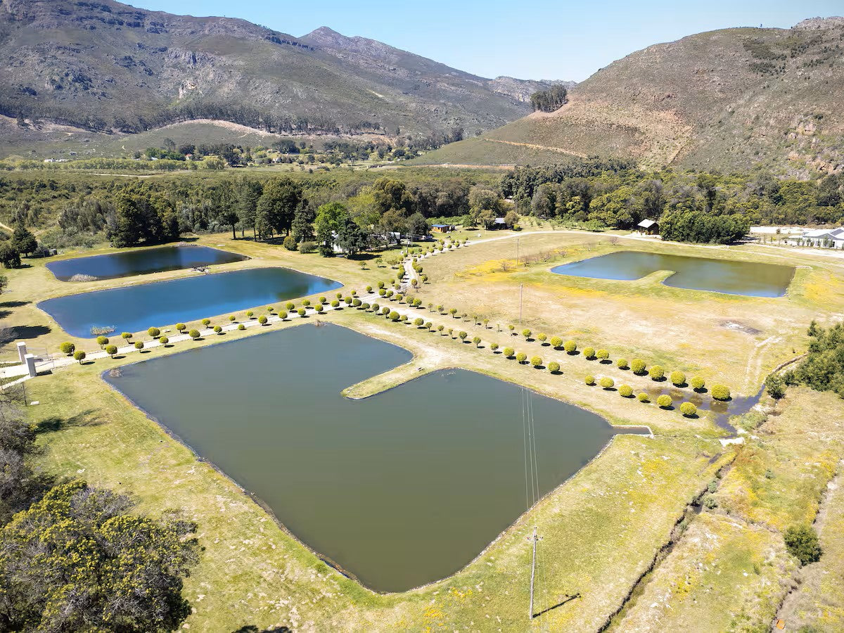 Pure Nature - Near Franschhoek
