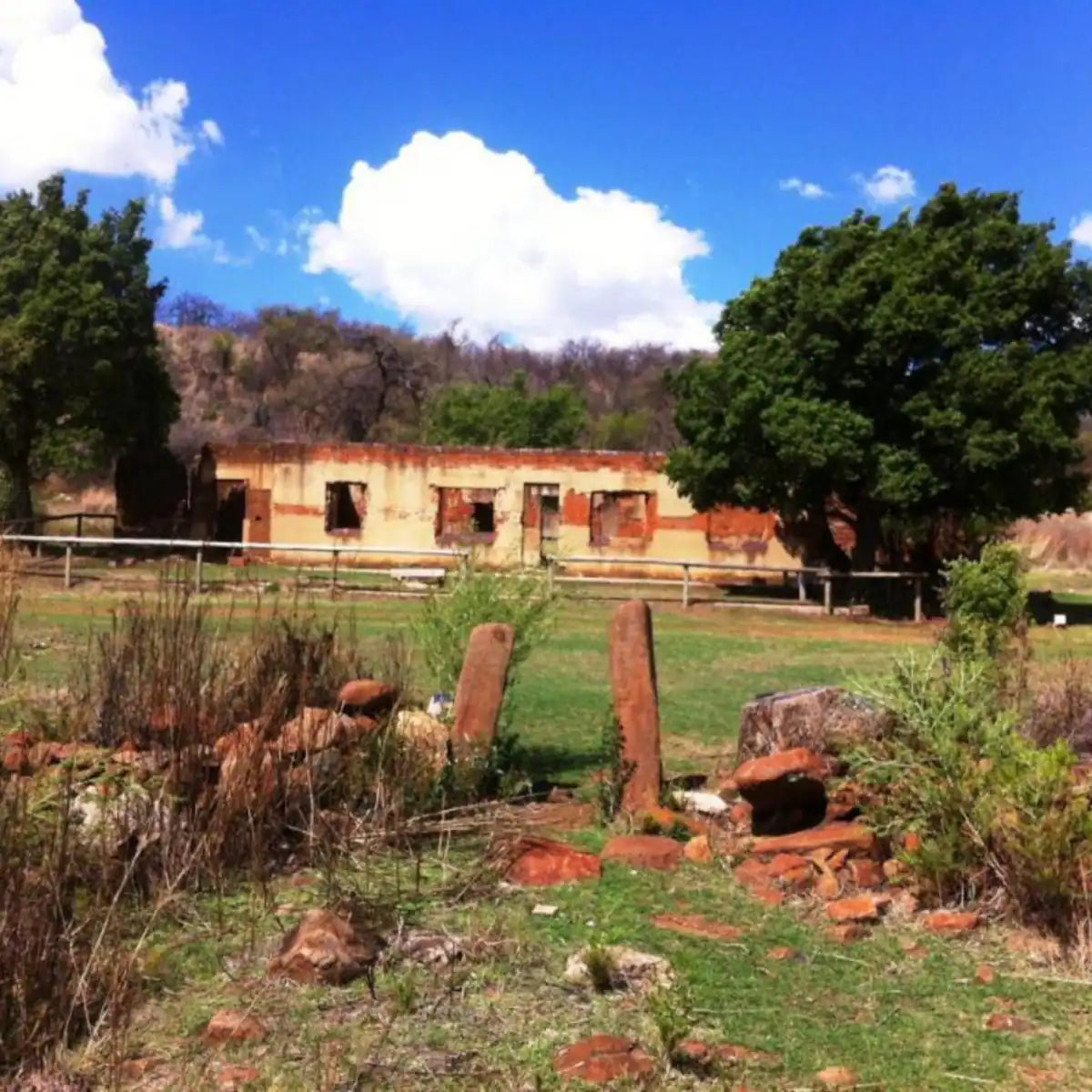 Scenic Klipriviersberg Hike - with a local flair