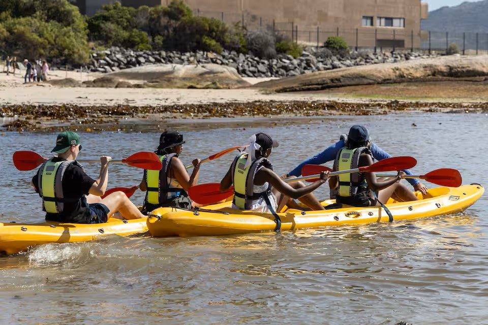 Paddle with the penguins at Boulders Beach