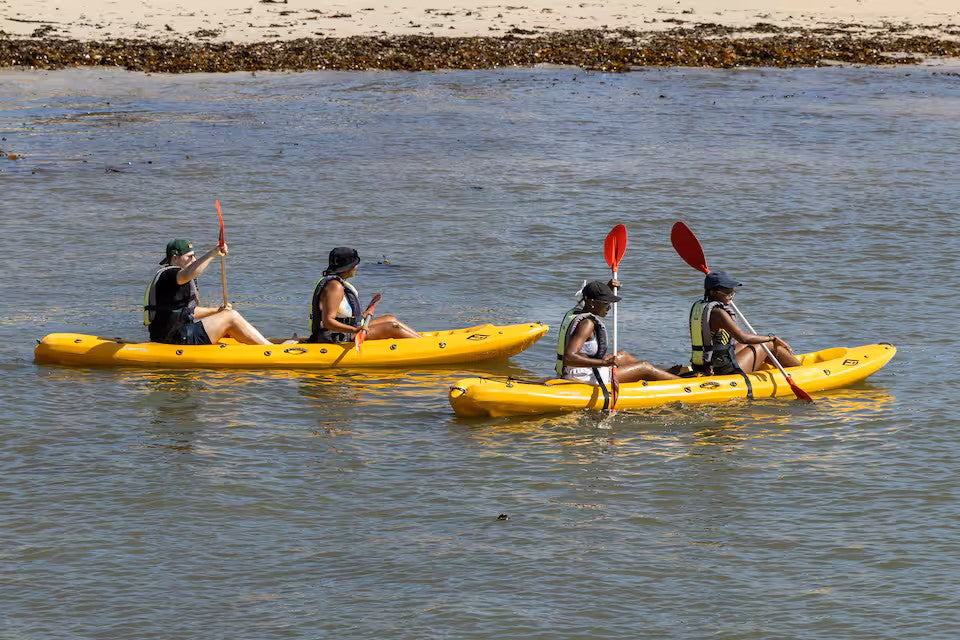 Paddle with the penguins at Boulders Beach