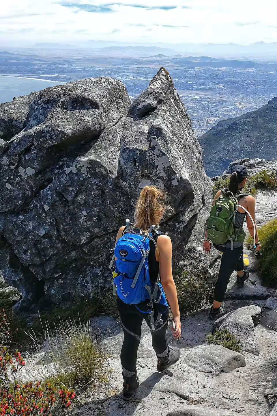 Hike Table Mountain and descend by cable car