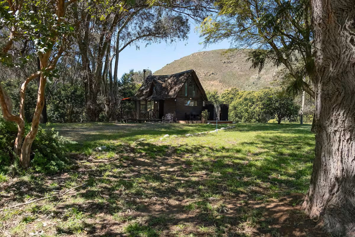 Pure Nature - Near Franschhoek