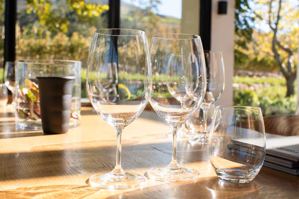 Experience the Stellenbosch Winelands