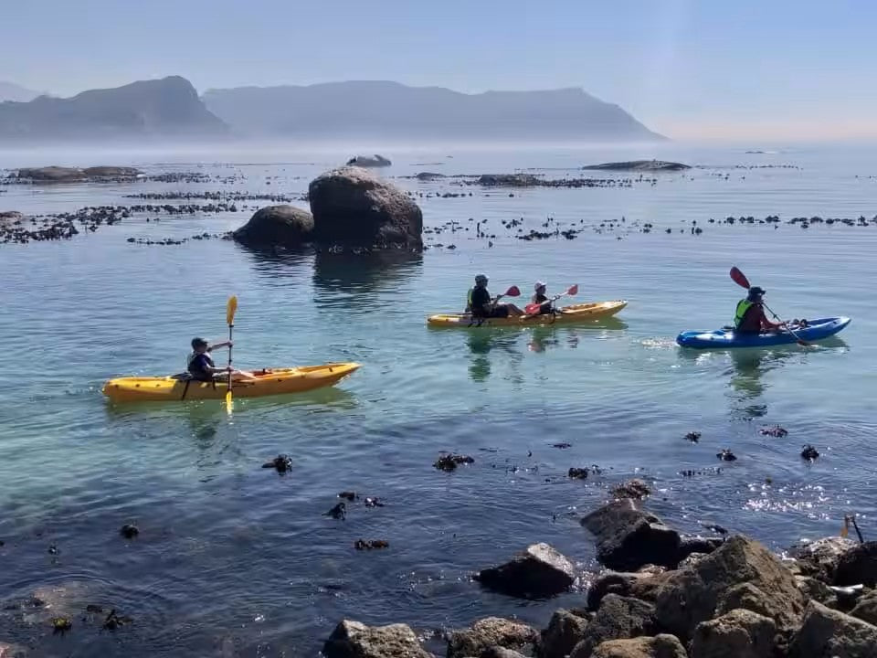 Paddle with the penguins at Boulders Beach