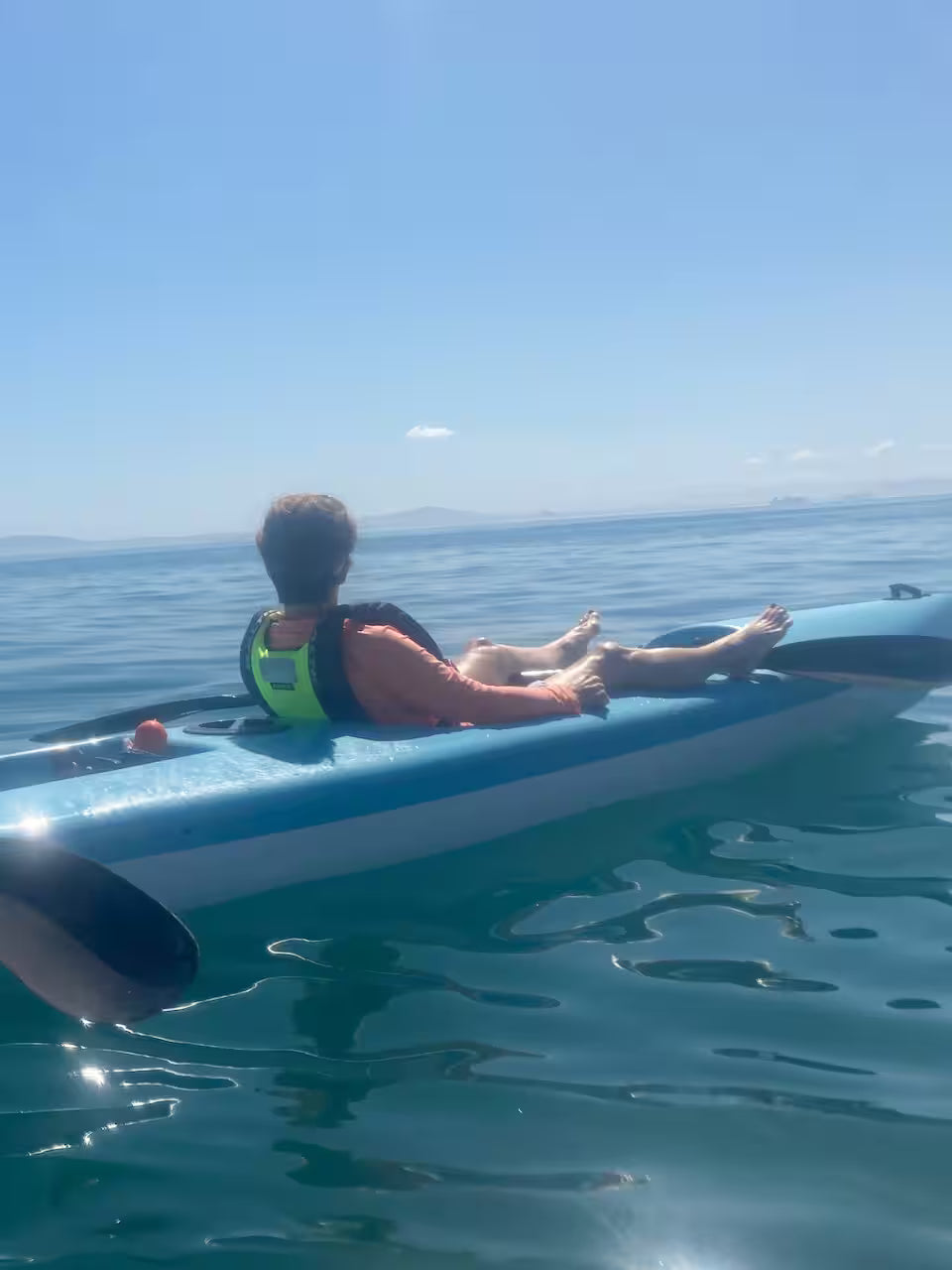 Kayak with dolphins in the heart of Cape Town