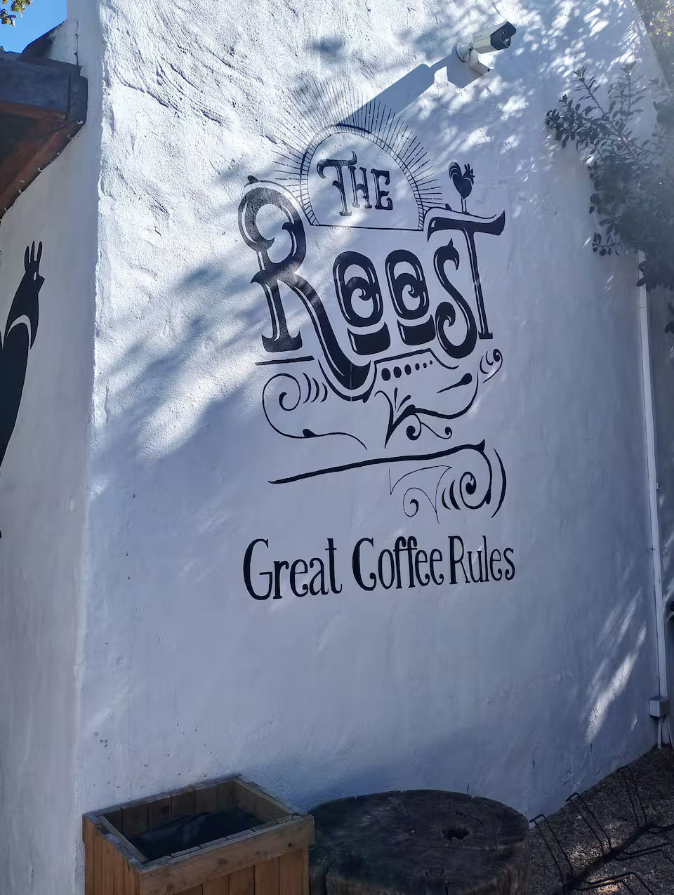 Cape of Good Hope, Cape Point and Penguins Tour