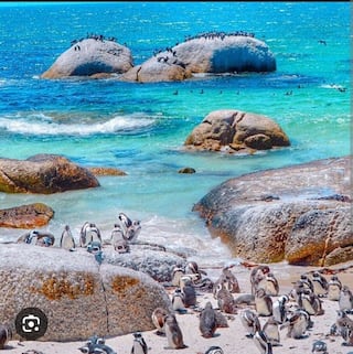 Friend Therapy: The Winter Reset | Simon's Town