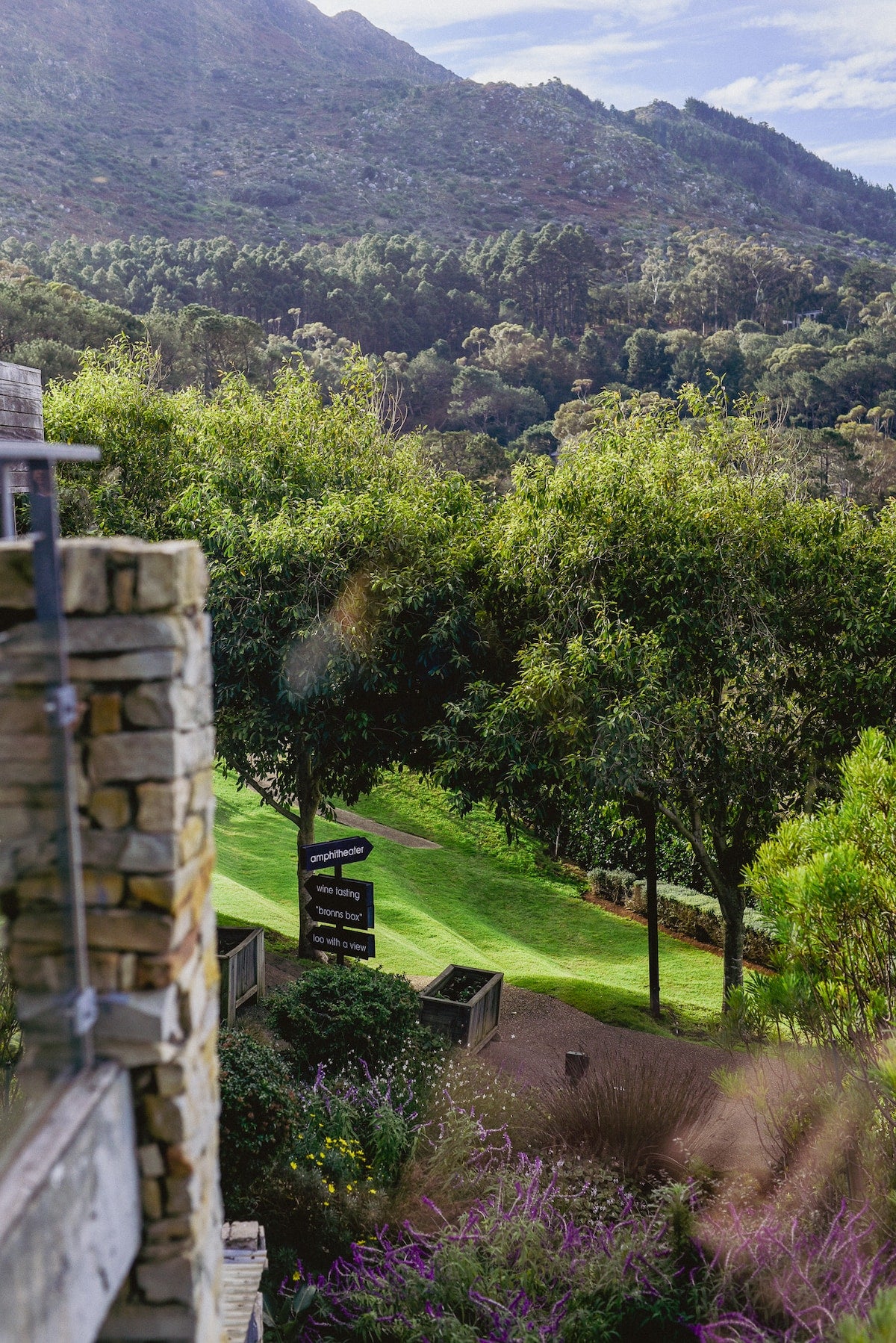 Friend Therapy: The Winter Reset | Simon's Town