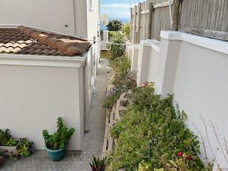 Friend Therapy: The Winter Reset | Simon's Town