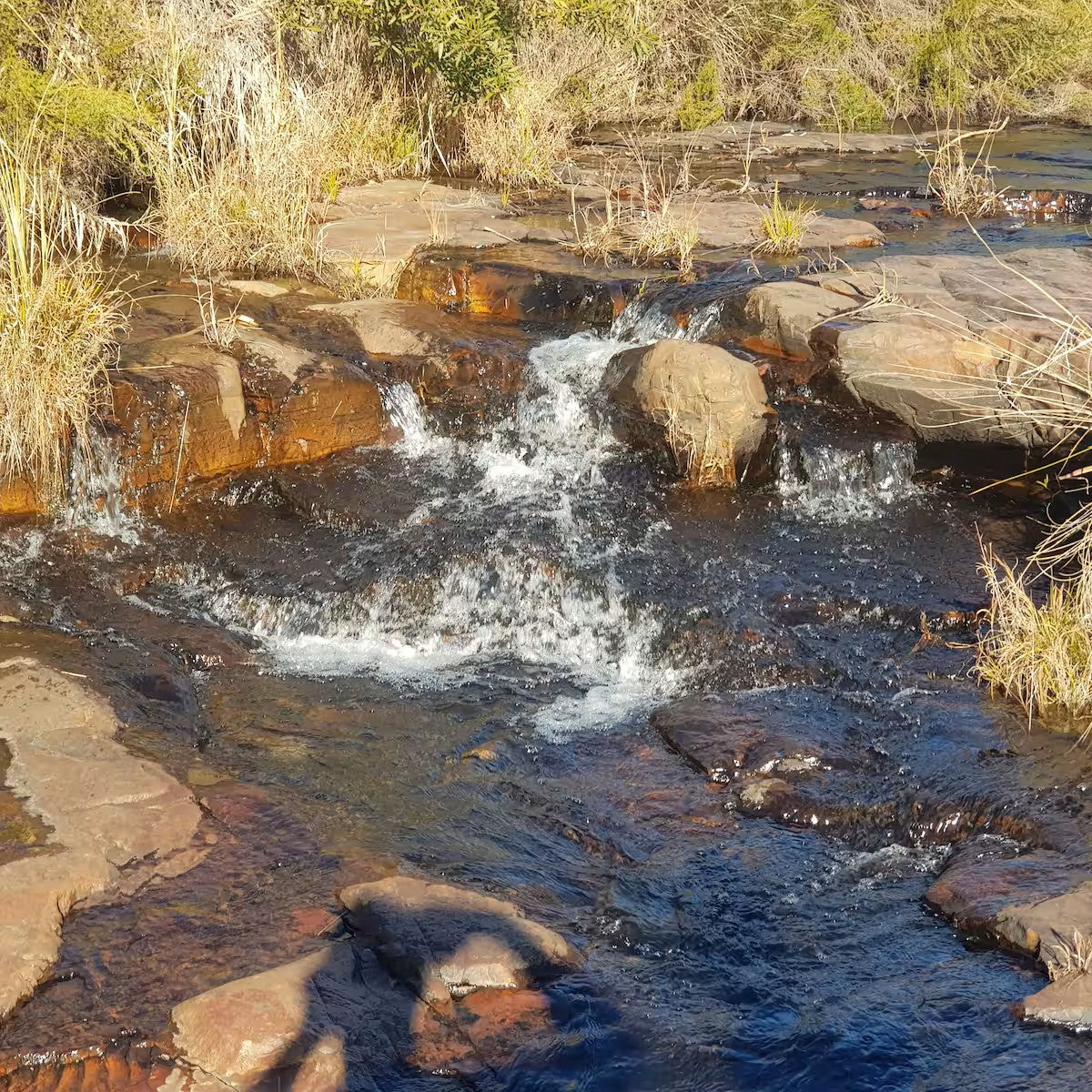 Rockridge – Riverview