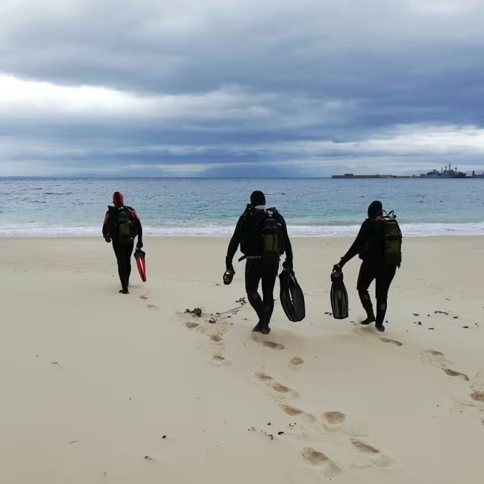 Scuba Diving in Simon’s Town-No Experience Needed