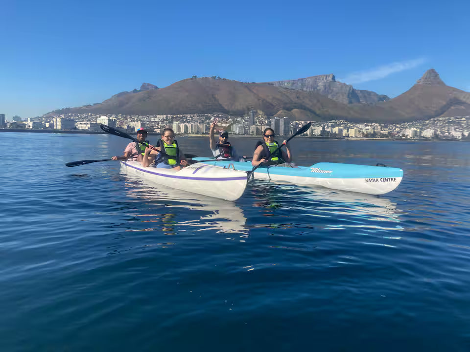 Kayak with dolphins in the heart of Cape Town