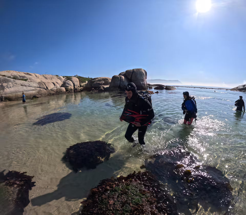 Scuba Diving in Simon’s Town-No Experience Needed