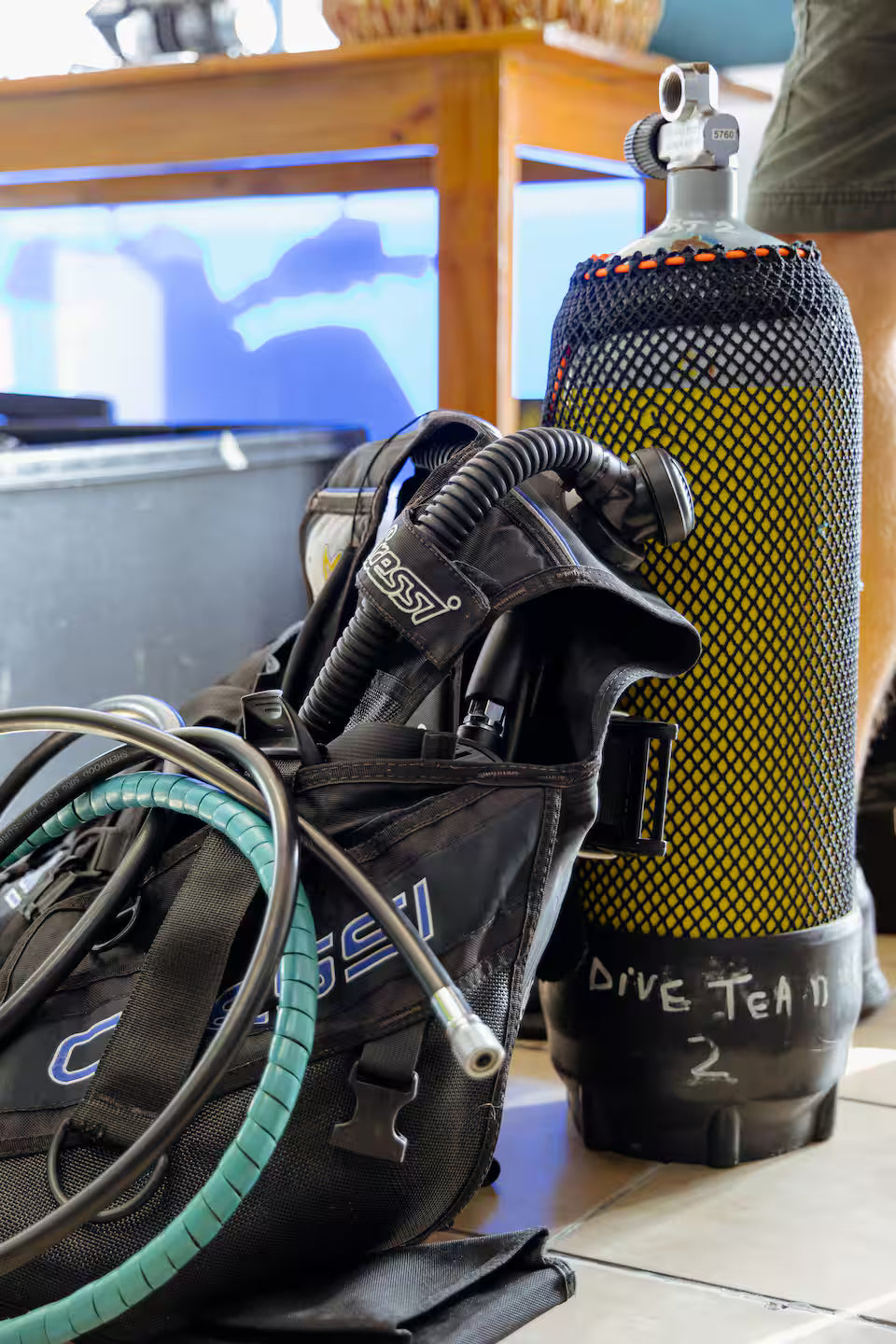 Scuba Diving in Simon’s Town-No Experience Needed