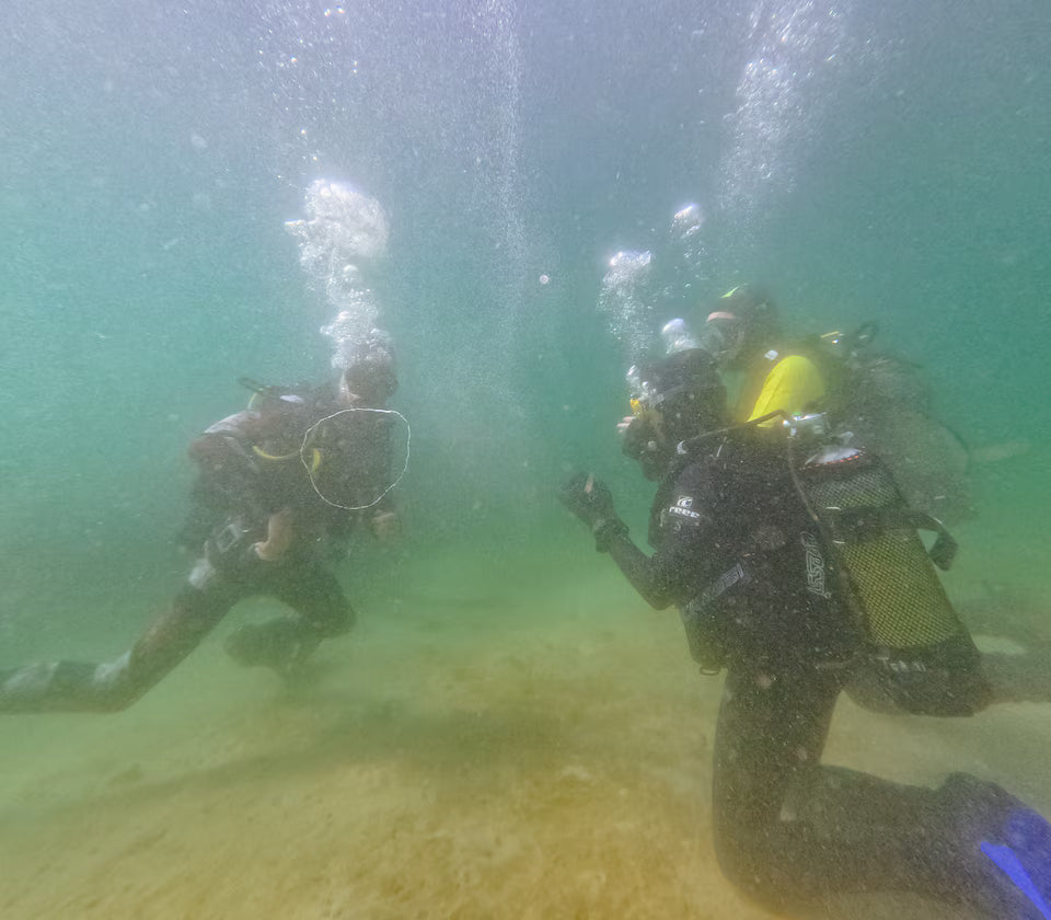 Scuba Diving in Simon’s Town-No Experience Needed