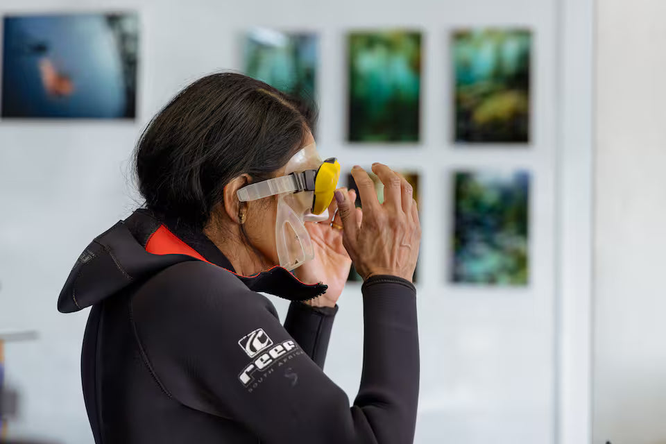 Scuba Diving in Simon’s Town-No Experience Needed