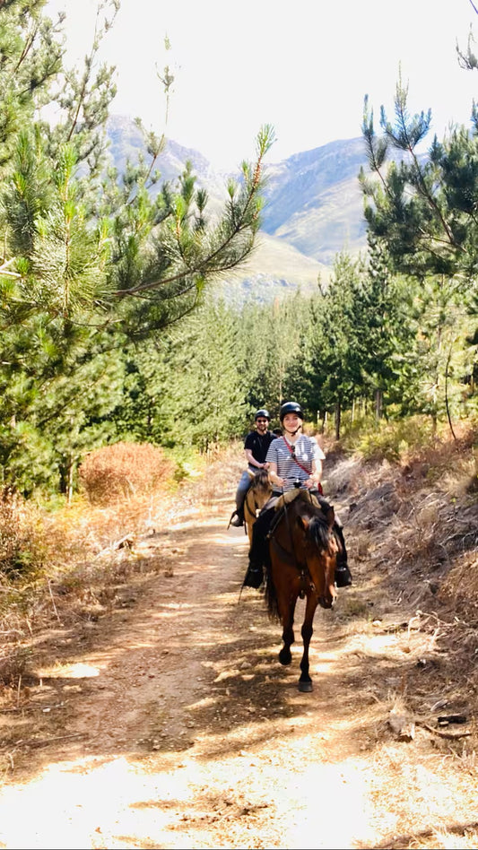 Scenic morning horse ride in the mountain