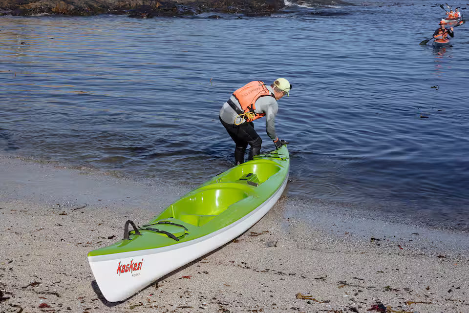 Kayak with dolphins in the heart of Cape Town