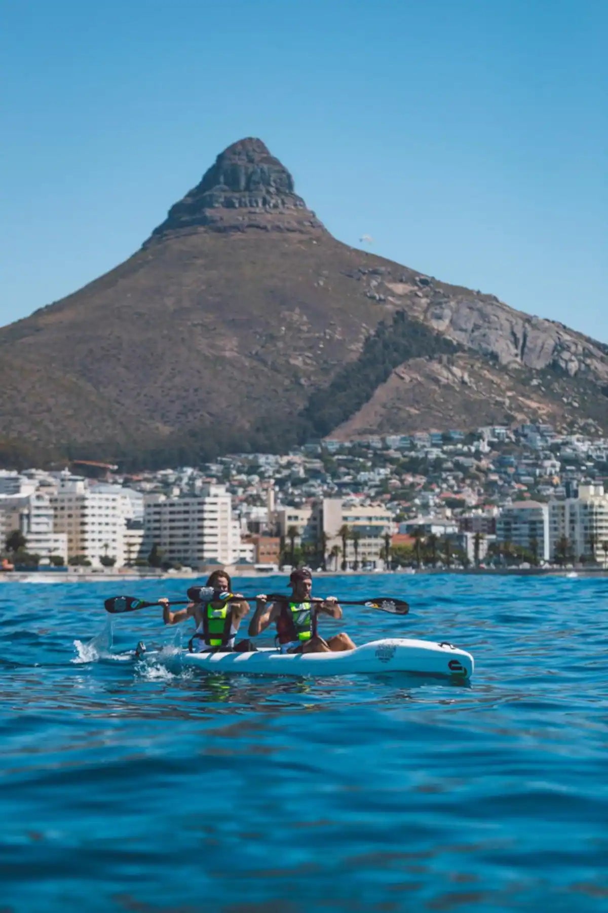 Kayak with dolphins in the heart of Cape Town