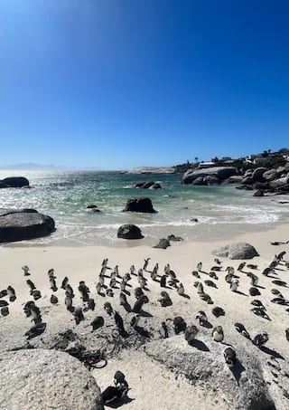 Friend Therapy: The Winter Reset | Simon's Town