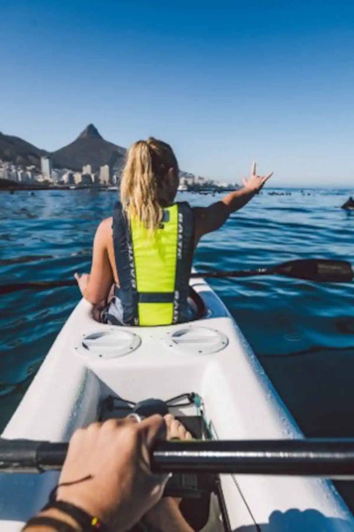 Kayak with dolphins in the heart of Cape Town